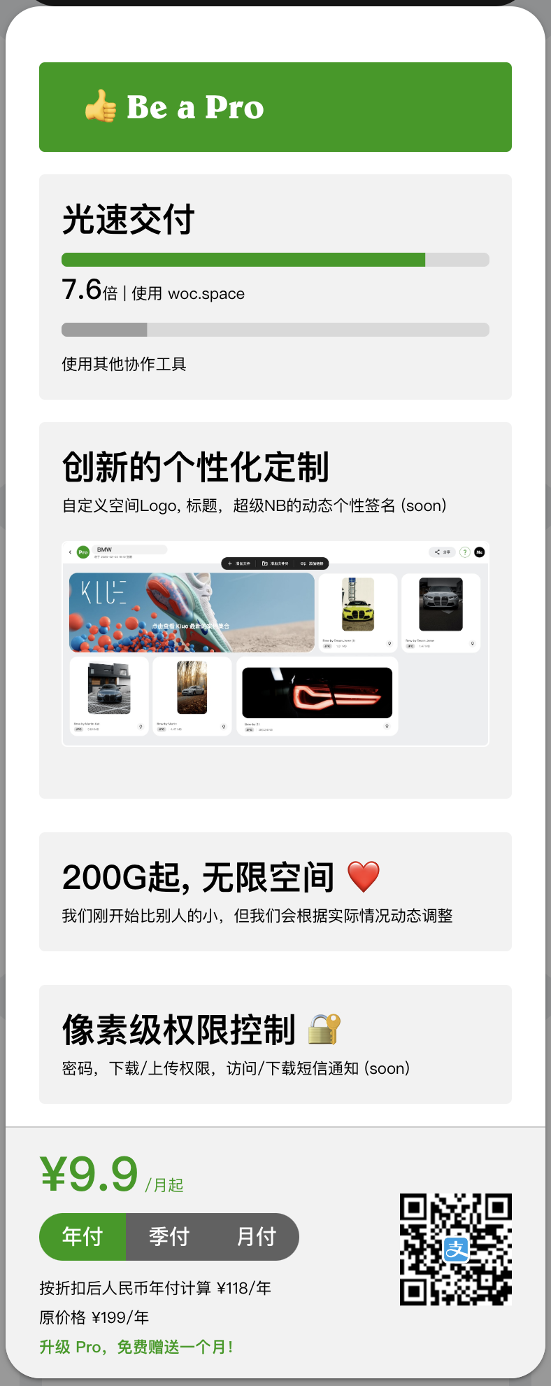 付费页面