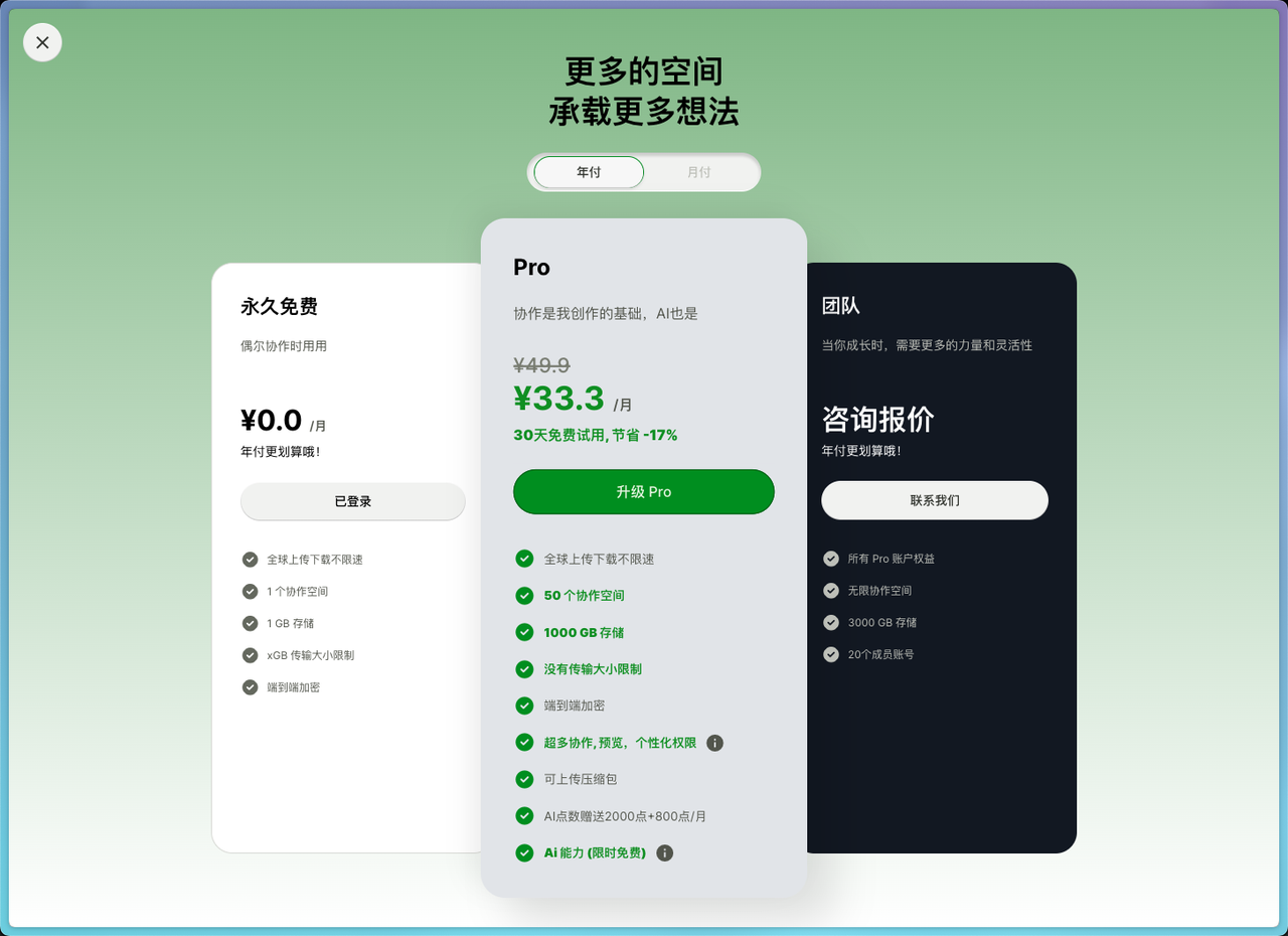 付费页面
